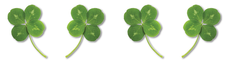 four-leaf-clover four-leaf-clover